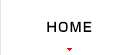 ホーム