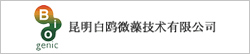 中国サイト