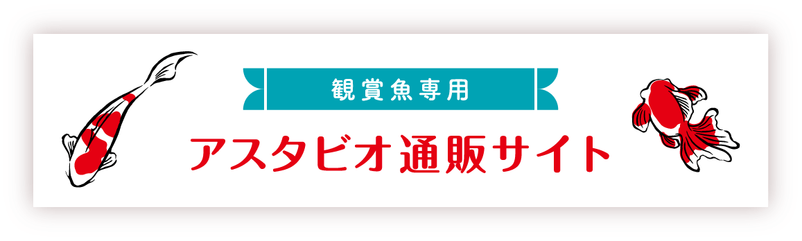 観賞魚専用 アスタビオ通販サイト